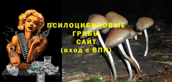 кокс Беломорск