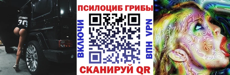 Купить закладки  Грязовец  Псилоцибиновые грибы Magic Shrooms 